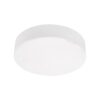 LUXERA 94063212 Canto LED stropní svítidlo | Přírodní bílá | 15W | Bílá