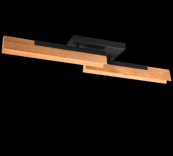 Trio 641610232 Kerala LED Přisazené stropní svítidlo | Teplá bílá | 2x12,5W | Černá