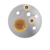 Trio 644810107 Zodiac LED Přisazený lustr | Variabilní | 42W