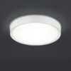 Trio 659011801 Clarimo LED stropní svítidlo | Teplá bílá | 18W | Bílá
