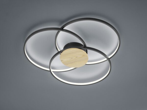 Trio 673210332 Sedona LED stropní svítidlo | Teplá bílá | 40=3600lmW | Černá