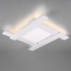 Trio 675510531 Belfast LED Přisazené stropní svítidlo | Přírodní bílá | 3W | Bílá
