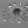 Trio 679511532 Peacock LED Přisazené stropní svítidlo | Teplá bílá | 2W | Černá