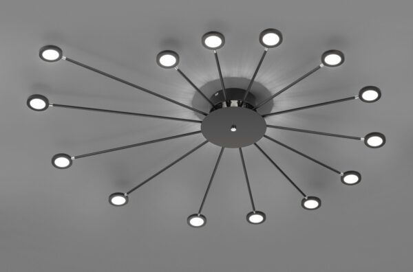 Trio 679511532 Peacock LED Přisazené stropní svítidlo | Teplá bílá | 2W | Černá