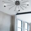 Trio 679511532 Peacock LED Přisazené stropní svítidlo | Teplá bílá | 2W | Černá