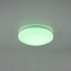 Trio 680213500 Frodeno LED stropní svítidlo | Přírodní bílá | RGB | Bílá | 12W