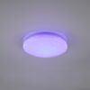 Trio 680213500 Frodeno LED stropní svítidlo | Přírodní bílá | RGB | Bílá | 12W