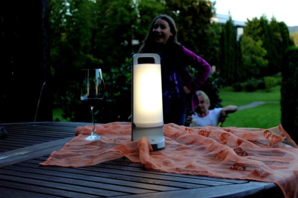 Lutec 6904101337 Dragonfly LED venkovní svítidlo | Přírodní bílá | Šedá | 1W | 2