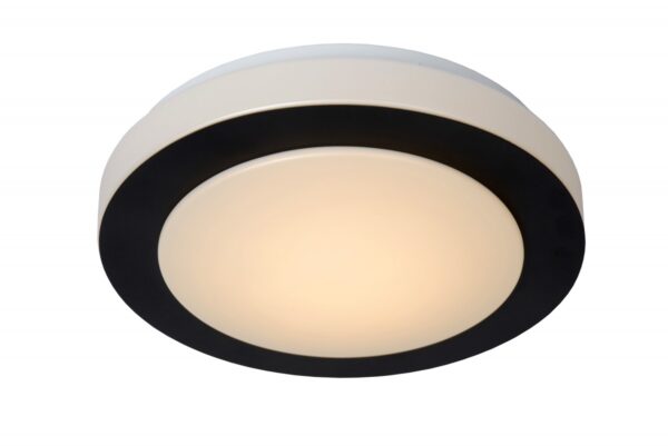 Lucide 79179/12/30 Dimy LED Koupelnové stropní svítidlo | Teplá bílá | 12W