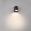 Philips 17287/30/16 Virga LED Nástěnné venkovní světlo | Teplá bílá | 4W | Černá