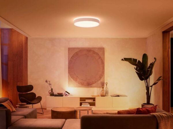 Philips Hue 41161/31/P6 Enrave Smart LED stropní svítidlo | Variabilní | 48W | Bílá
