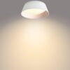 Philips 8718699777357 Dawn LED stropní svítidlo | Teplá bílá | Bílá | 8