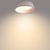 Philips 8718699777371 Dawn LED stropní svítidlo | Teplá bílá | Šedá