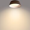 Philips 8718699777395 Dawn LED stropní svítidlo | Teplá bílá | Černá