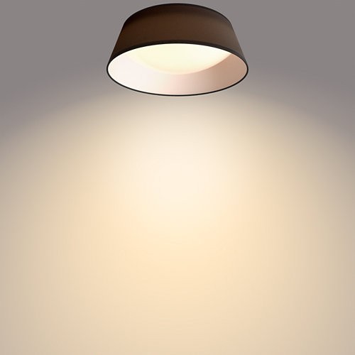Philips 8718699777395 Dawn LED stropní svítidlo | Teplá bílá | Černá