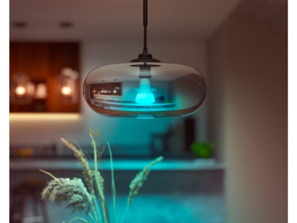 Philips Hue 8719514288157 Smart LED Smart žárovka E27 | RGB | Variabilní | 13,5W