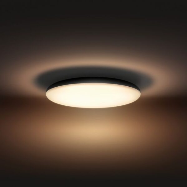 Philips Hue 8719514341173 Cher Smart LED stropní svítidlo | Variabilní | Černá | 24W