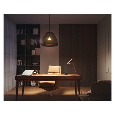 Philips Hue 8719514343320 Smart LED Smart žárovka E27 | Teplá bílá | 15,5W