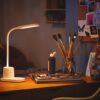 Philips 8719514443792 Rock LED Stmívatelná stojací lampa | Variabilní | Bílá | 7W