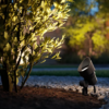 Philips 8719514477094 Gardenlink LED Zahradní sloupkové světlo | Teplá bílá | Černá | 6W