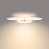 Philips 8720169195257 Garnet LED Přisazené stropní svítidlo | Teplá bílá | 40W | Bílá