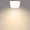 Philips 8720169195479 Mauwe LED Přisazené stropní svítidlo | Přírodní bílá | 12W | Bílá