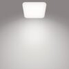 Philips 8720169195516 Mauwe LED Přisazené stropní svítidlo | Přírodní bílá | 24W | Bílá