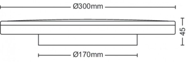 Philips 8719514431966 Ozziet LED stropní svítidlo | Přírodní bílá | 18W | Černá