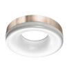 Azzardo AZ2946 Ring LED stropní svítidlo | Teplá bílá | 18W | Kov | Nerez