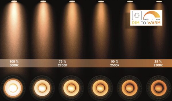 Lucide 09930/20/31 LED bodové svítidlo | Teplá bílá | 4x5W | Bílá