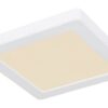 Globo 12380-12W LED stropní svítidlo | Variabilní | Bílá