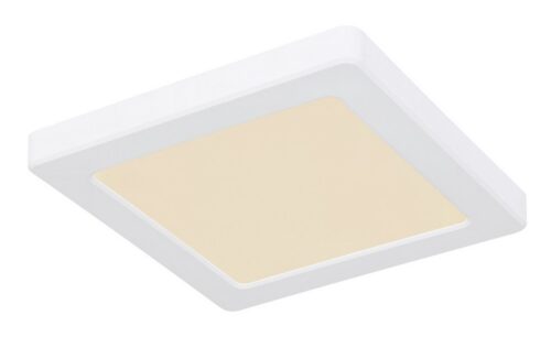 Globo 12380-12W LED stropní svítidlo | Variabilní | Bílá