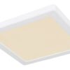 Globo 12380-18W LED stropní svítidlo | Variabilní | Bílá