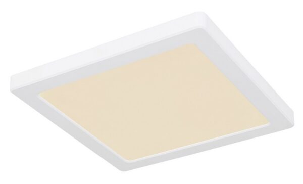 Globo 12380-18W LED stropní svítidlo | Variabilní | Bílá