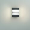 Philips 17273/93/16 Raccoon LED Nástěnné venkovní světlo | Teplá bílá | 3W | Černá