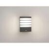 Philips 17274/93/16 Raccoon LED Nástěnné venkovní světlo | Teplá bílá | 3W | Černá