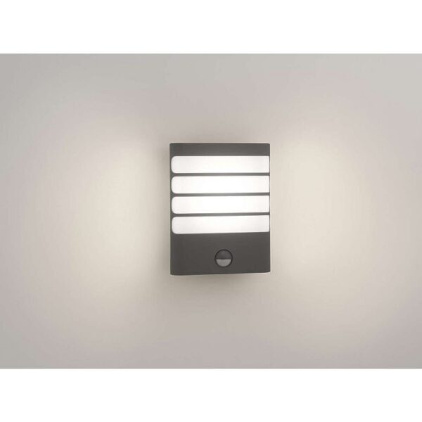Philips 17274/93/16 Raccoon LED Nástěnné venkovní světlo | Teplá bílá | 3W | Černá
