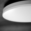 Palnas 9961000879 Mony LED stropní svítidlo | Teplá bílá | Bílá | 22W