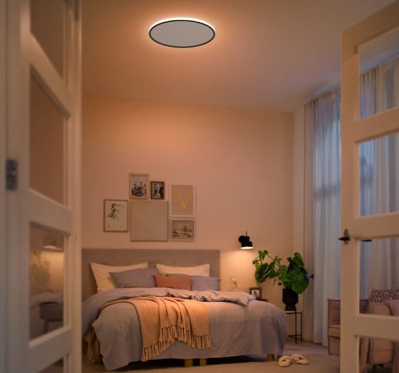 Philips 8719514432000 Ozziet LED stropní svítidlo | Teplá bílá | 22W | Černá | 6