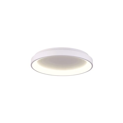 Italux 5902854538270 LED Přisazené stropní svítidlo | Variabilní | 38W | Bílá