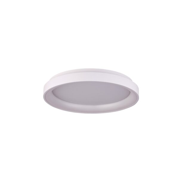 Italux 5902854538270 LED Přisazené stropní svítidlo | Variabilní | 38W | Bílá