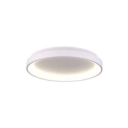 Italux 5902854538300 LED Přisazené stropní svítidlo | Variabilní | 48W | Bílá