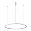 Italux 5902854538249 LED stropní svítidlo | Variabilní | 5,8W | Bílá