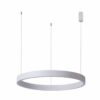 Italux 5902854537884 LED stropní svítidlo | Variabilní | 60W | Bílá