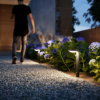 Philips 8719514476851 Tyla LED Nástěnné venkovní světlo | Teplá bílá | Černá | 9W