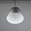 Trio R30681067 Jagger Lustr | E27 | Kov | Nikl
