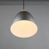 Trio R30681067 Jagger Lustr | E27 | Kov | Nikl