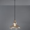 Trio R30731004 Aldo Lustr | E27