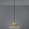 Trio R30731004 Aldo Lustr | E27