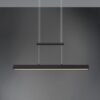 Trio R32043132 Paros LED stropní svítidlo | Teplá bílá | Černá | 21W